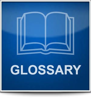 Glossary Glossary